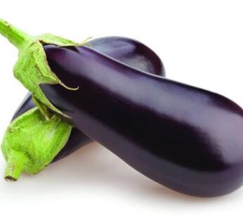 Brinjal