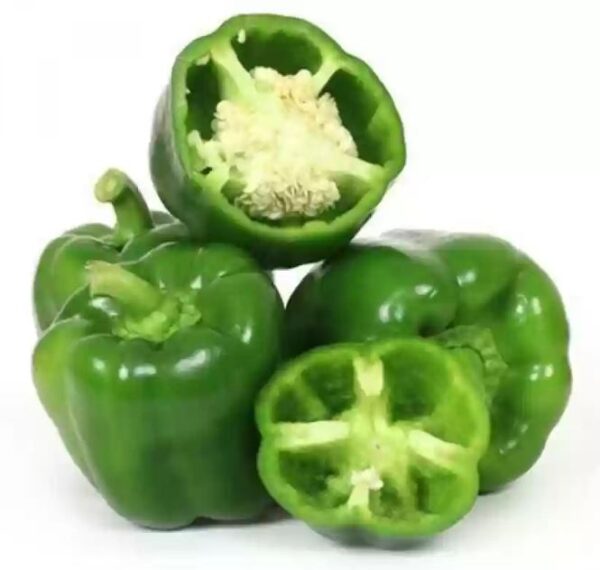 Capsicum