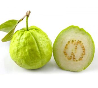 Guava