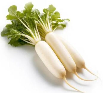 Radish