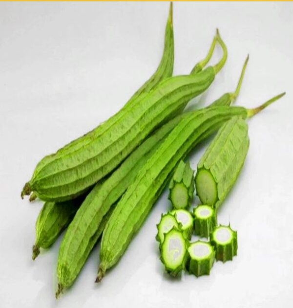 Ridge Gourd
